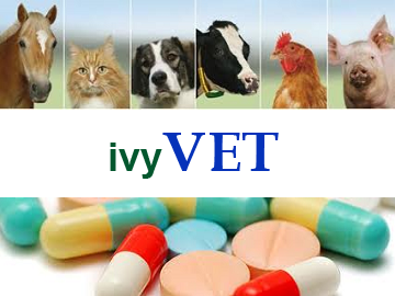 ivyVET